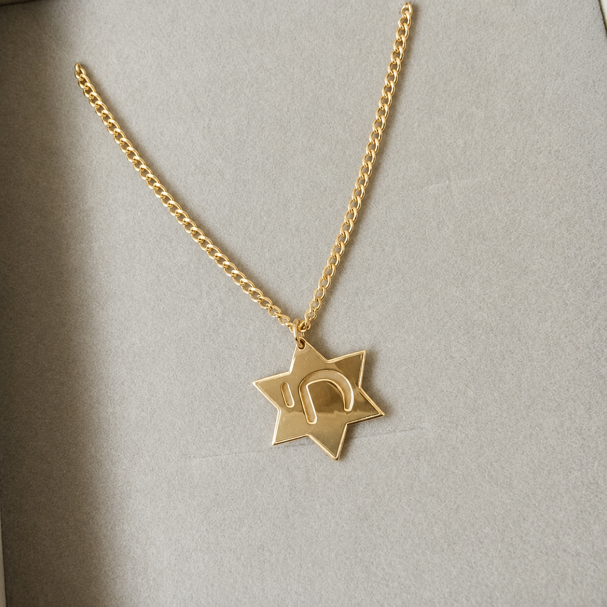 Star of David and Chai Charm and Necklace