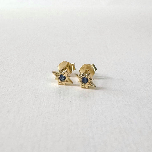 Chloe Earrings